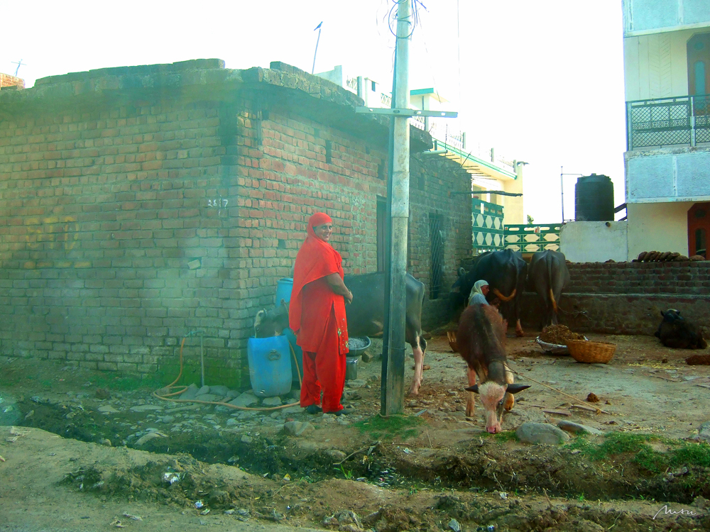 Frau und Kuh | Indien | 2009